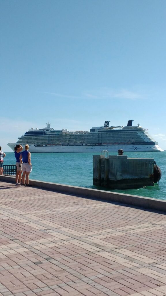 Hantavirus cruise ship outbreak - expedition cruise vessel at sea